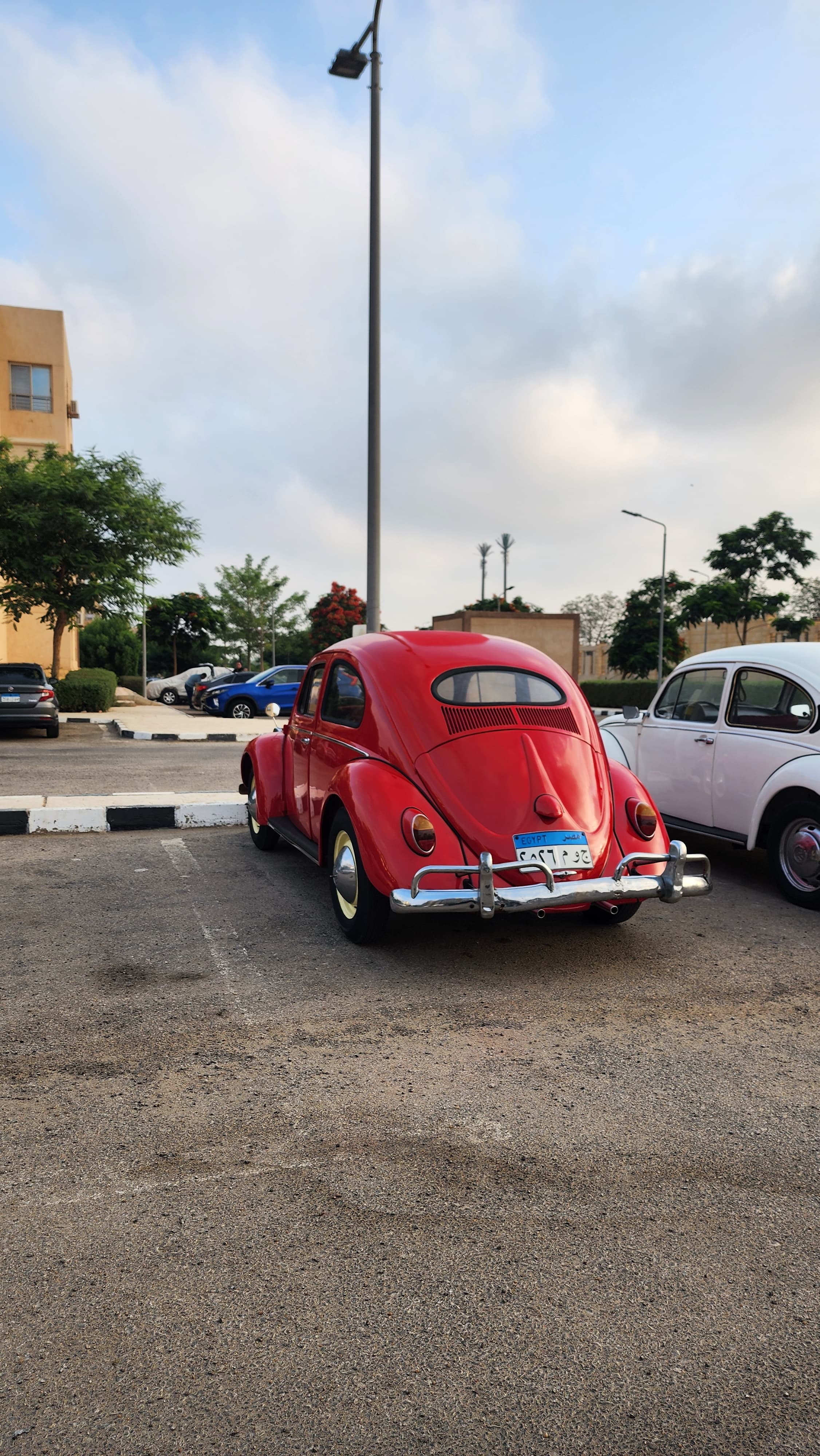 1959 Volkswagen Beetle Oval Window